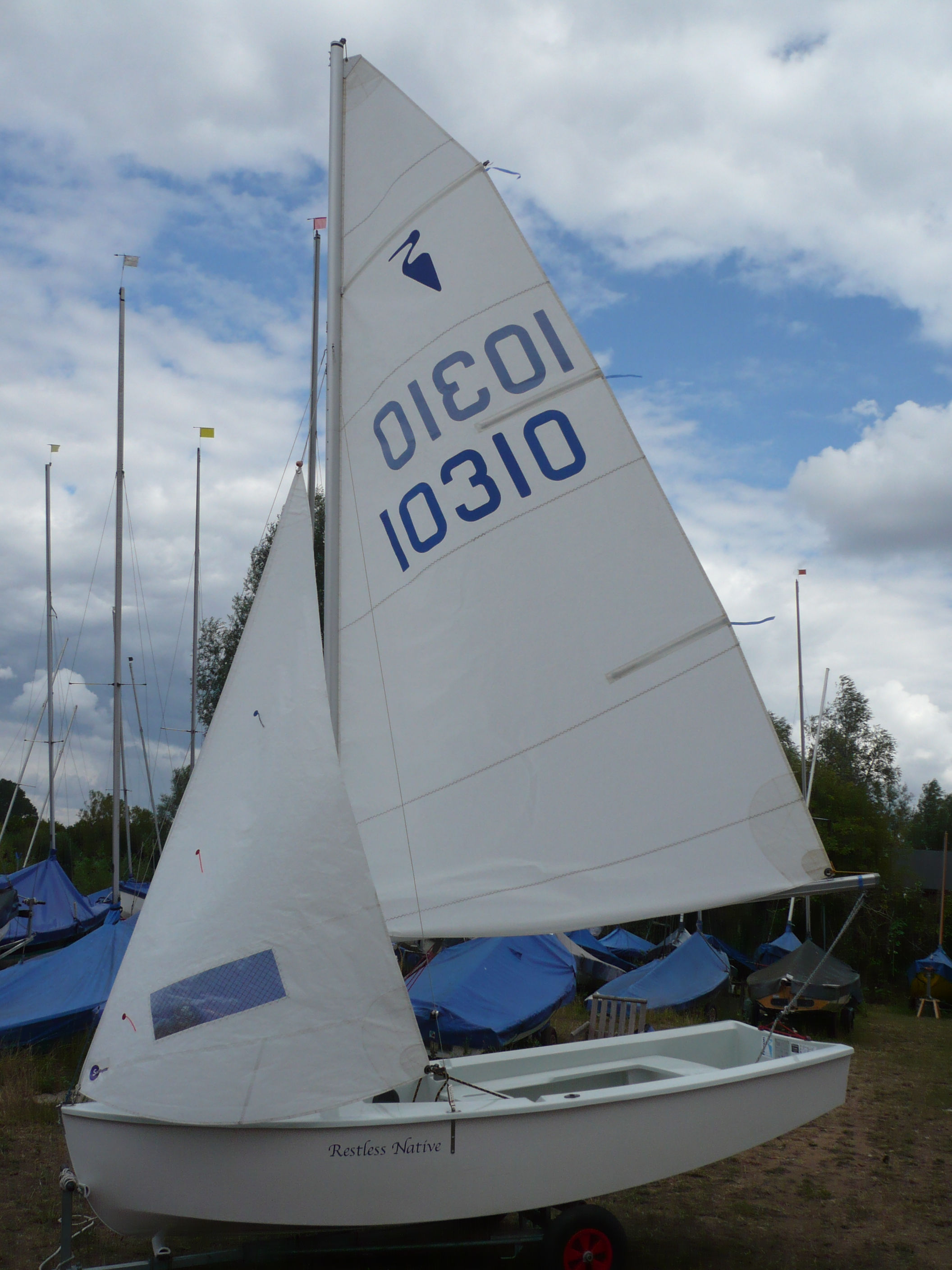 Heron sail number 10310